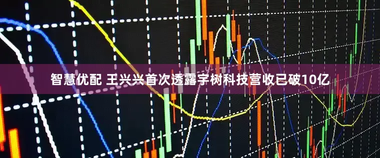 智慧优配 王兴兴首次透露宇树科技营收已破10亿