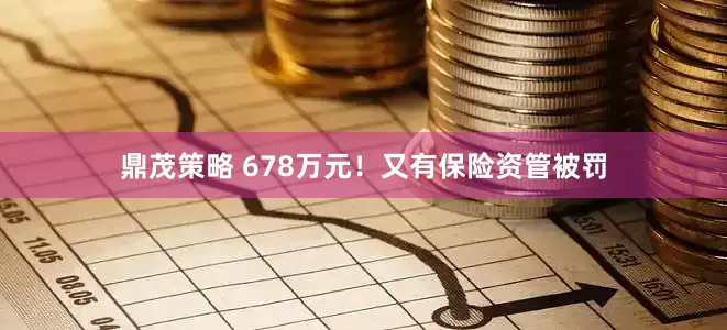 鼎茂策略 678万元！又有保险资管被罚