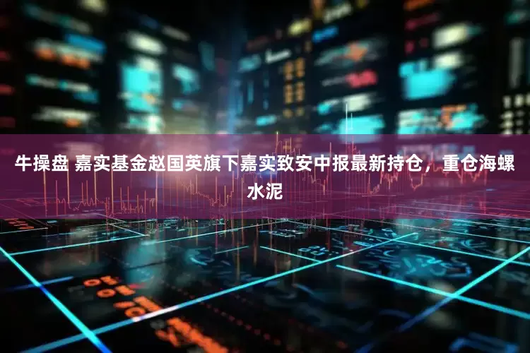 牛操盘 嘉实基金赵国英旗下嘉实致安中报最新持仓，重仓海螺水泥