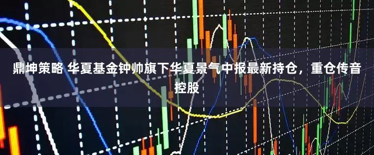 鼎坤策略 华夏基金钟帅旗下华夏景气中报最新持仓，重仓传音控股