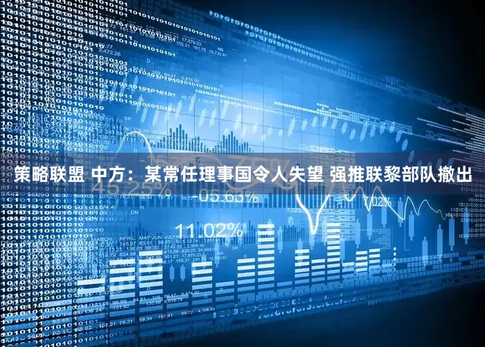 策略联盟 中方：某常任理事国令人失望 强推联黎部队撤出
