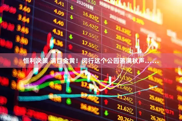 恒利决策 满目金黄!闵行这个公园落满秋声……